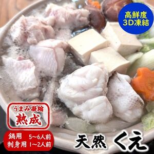 幻の高級魚 天然本クエ鍋用(5-6人前)お刺身用セット 熟成 旨味凝縮 高鮮度3D凍結 大型使用【配送不可地域：離島】【1546666】