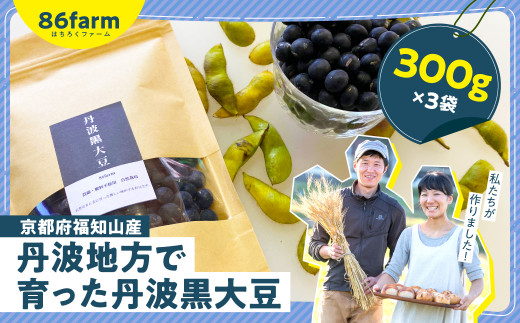 
京都府福知山産　丹波地方で育った丹波黒大豆（300g×3袋） ふるさと納税 丹波 黒大豆 栽培期間中農薬 肥料不使用 京都府 福知山市
