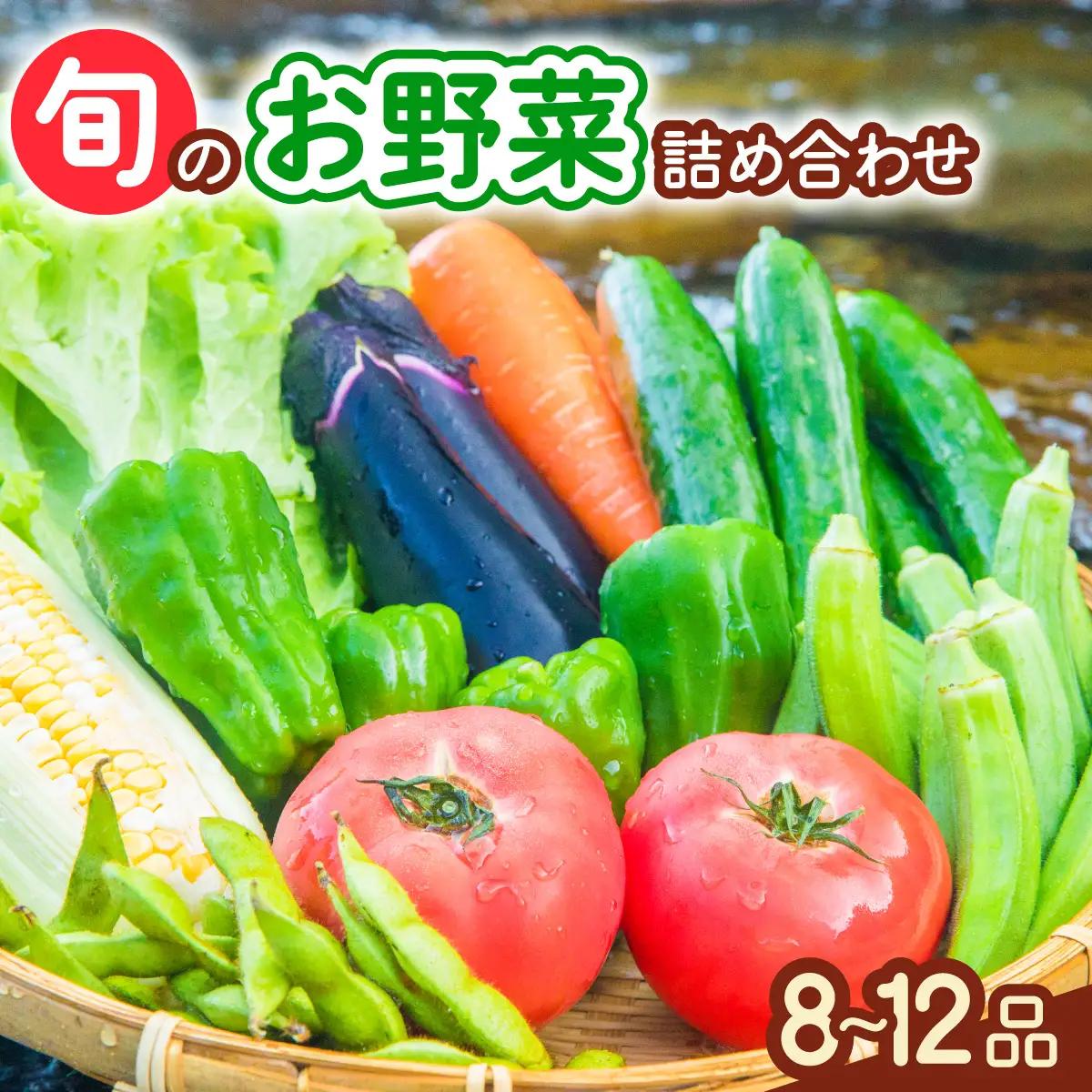 阿波の国海陽町　旬のお野菜詰め合わせセット8‐12品