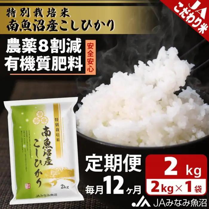 【JAみなみ魚沼定期便】特別栽培米南魚沼産こしひかり8割減（2kg×全12回）精米｜こしひかり