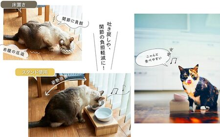 フードボウル スタンド セット 木製 国産ヒノキ 食器 名入れ 「ネコトキ」（ダブル）ホワイト＆ペールブルー 【四国加工】 ペット用品 猫 小型犬