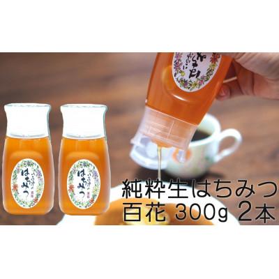 ふるさと納税 八百津町 使いやすいポリ容器入り 非加熱　純粋生はちみつ 百花 300g 2本セット