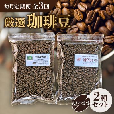 ふるさと納税 安城市 【毎月定期便】お楽しみ　厳選珈琲豆100g(豆のまま)×2種類セット全3回