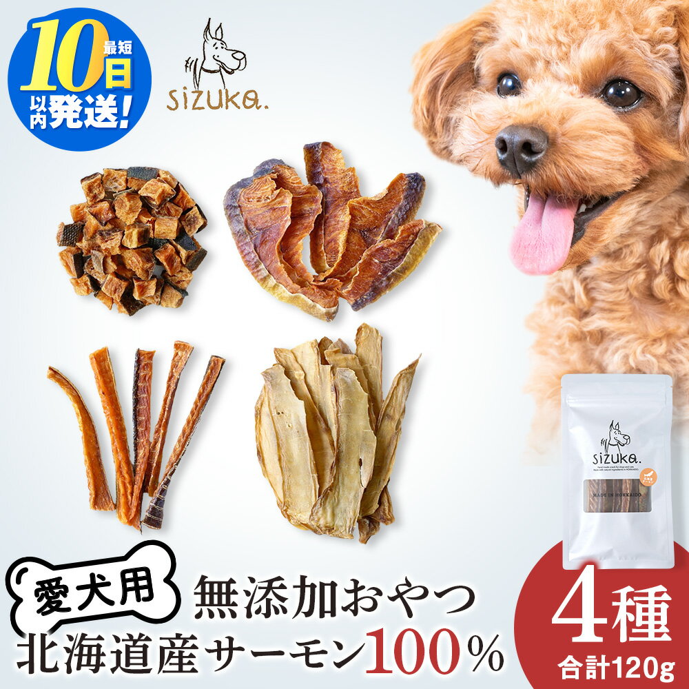 【ふるさと納税】愛犬用 無添加おやつ 北海道産サーモン100％4点セット（4種　各30g）鮭 サーモン ドッグフード ペット おやつ ジャーキー スライス スティック ひとくち 無添加 北海道ふるさと納税 ふるさと納税 北海道 千歳市【北海道千歳市】ギフト ふるさと納税