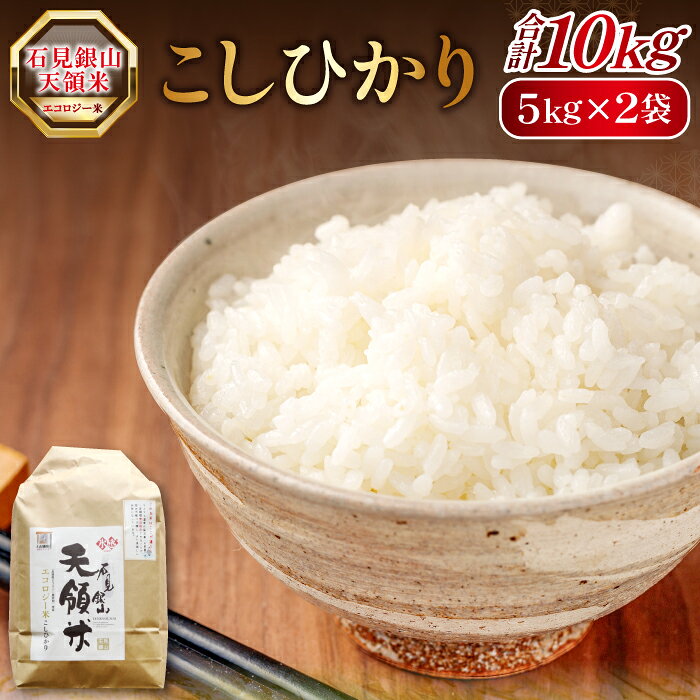 【ふるさと納税】 石見銀山 天領米 こしひかり 10kg（5kg×2袋） コシヒカリ 精米 氷感熟成 エコロジー米 ごはん お米 弁当 おにぎり おむすび 三瓶 島根県 大田市