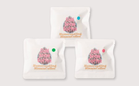 コーヒー豆 水出し用 合計300g (10g×30個セット) 珈琲