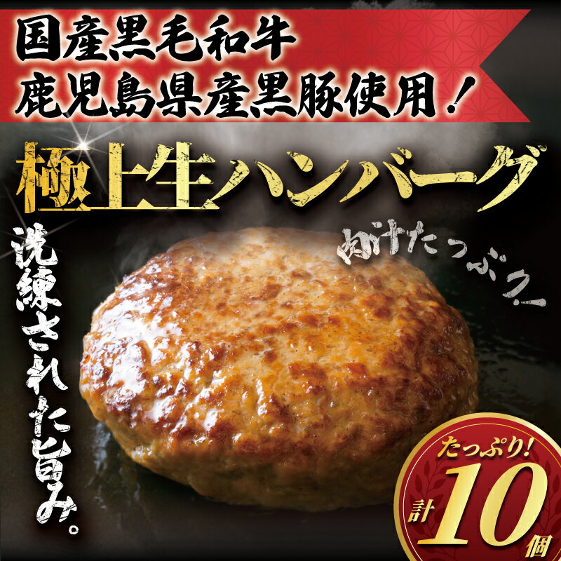 【ふるさと納税】黒毛和牛 鹿児島県産 黒豚 使用 ハンバーグ 10個 セット A4 A5ランク 1.2kg 手作り Hamburg はんばーぐ 惣菜 冷凍 和牛 豚 牛 肉 ぶたにく ぎゅうにく ブランド牛 ブランド豚 肉汁 beef ランク 人気 夕食 おかず 小分け 便利 簡単調理 国産 神奈川 湘南 藤沢