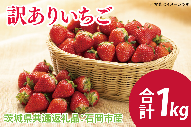 【先行予約】訳ありいちご 1kg（茨城県共通返礼品：石岡市産）※2025年12月初旬～2026年3月下旬頃に順次発送予定(CD014）