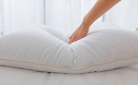 極上まくら 【999-000380-20】【37-1】