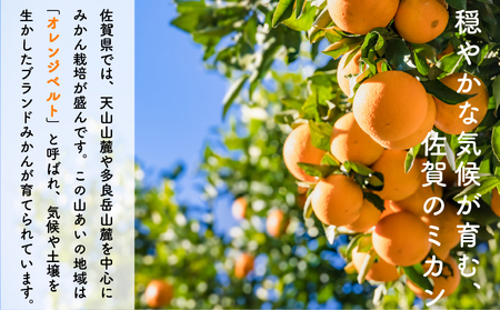 ＜先行予約＞ ＜10月以降順次発送＞柑橘の名産地 佐賀産さがみかん約5kg箱