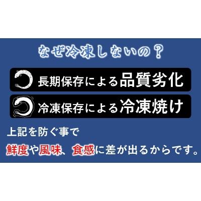 ふるさと納税 西都市 炭火焼一筋「うなぎの入船」かば焼3尾(熟成たれ付)国産うなぎ[1236] |  | 03