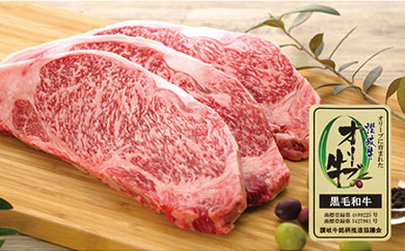 牛肉 オリーブ牛 ロース ステーキ 1kg （3枚）【化粧箱入り】【配送不可：離島】 | 国産 牛肉 オリーブ 牛 ロース ステーキ 肉 国産 人気 お肉 牛肉 ロース ステーキ 肉 国産 人気