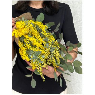 ふるさと納税 藤井寺市 毎年人気!春を運んでくるユーカリとミモザのスワッグ |  | 01