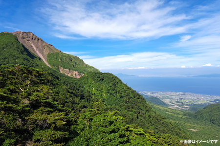 BE249 山崎本店酒造場 【12回定期便】 雲仙島原の天然水 20L