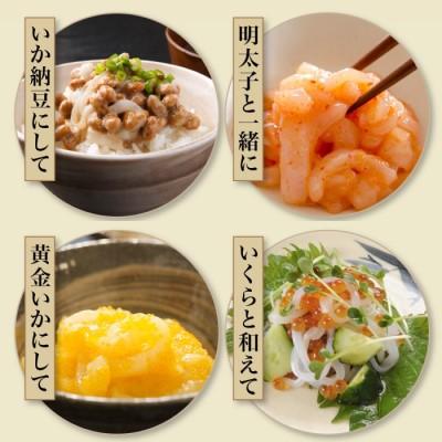 ふるさと納税 北斗市 道水 訳あり 真いかお造り ジャングル　500g×2パック　いか刺身 いかそうめん 完全無添加 |  | 03