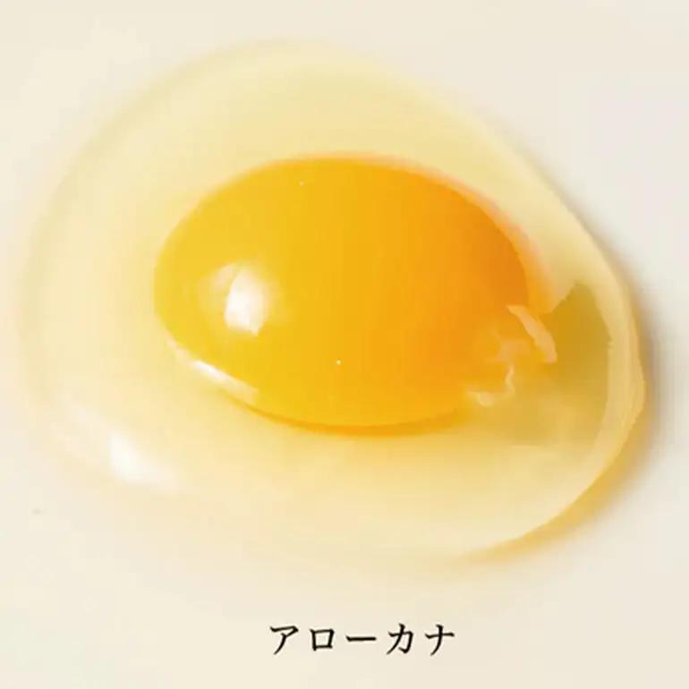 はっこう卵 3種 食べ比べ MS~L サイズ 55個 +破卵保障5個 卵 種類 サイズ おまかせ 詰め合わせ 白卵 30個 赤卵 20個 青卵 10個 アローカナ 詰合せ たまご タマゴ 食比べ 生卵