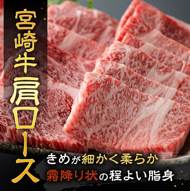 宮崎牛霜降り焼肉 700g (350g×2)　牛肉[E11122]