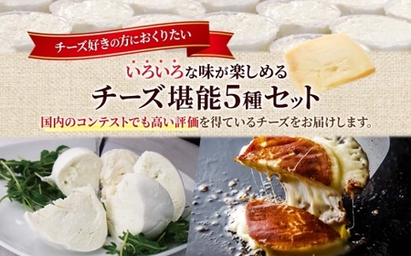 ファットリアビオ 堪能5種セット ｜ ファットリアビオ北海道 チーズ 食べ比べ 北海道 札幌市