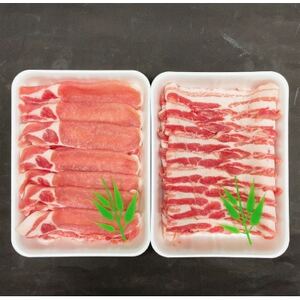 豚肉 知多フレッシュポーク スライスセット 厚さ1.5mm 900g ロース・バラ 愛知県南知多町産 [配送不可地域：離島]