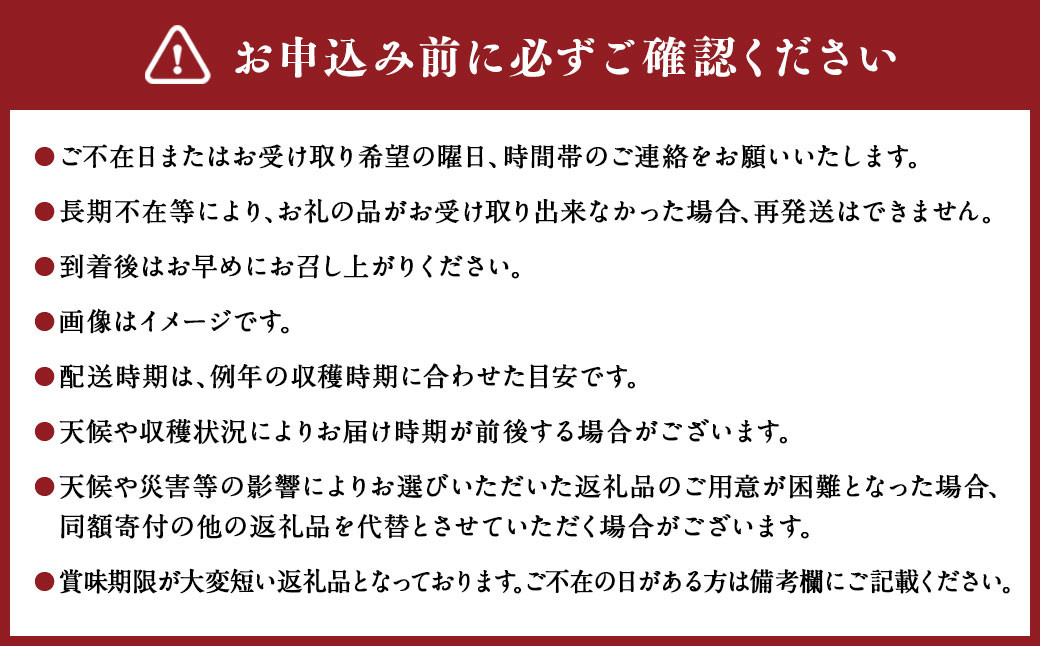 りんご（サンふじ・秀） 約2kg 5玉～8玉 リンゴ 林檎 果物 【2025年11月下旬～12月上旬発送予定】