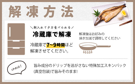 【ふるなびWEEK対象】特選干物セット 8-10種16枚 干物