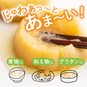 《先行予約》【2025年2月上旬より発送】奥飛騨山之村 寒干し大根 70g 1箱 煮物 すき焼き 漬物 などに[A0118_u]