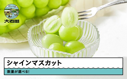 
                  【先行予約】 ぶどう シャインマスカット 秀品 フルーツ 果物 令和8年産 2026年産 山形県産 ns-busmx
                