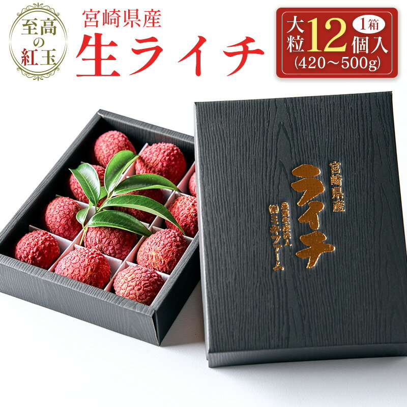【ふるさと納税】［2026年発送］先行予約＜限定50セット＞宮崎県産 生ライチ「至高の紅玉」大粒12個入 人気 国産 希少 果物 旬 ギフト プレゼント