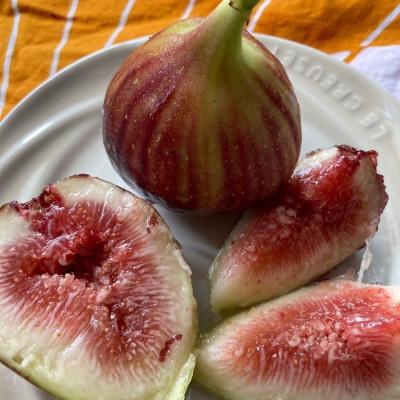 ふるさと納税 紀の川市 【8月上旬以降お届け】朝採りいちじく2箱セット |  | 01