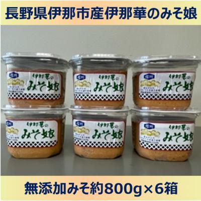 ふるさと納税 伊那市 伊那華のみそ娘　みそ　800g×6個セット