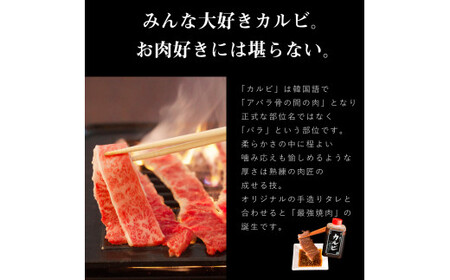 DU-79　焼き肉 ふるさと納税 カルビ 500g 和牛 黒毛和牛 セット 焼肉 A5 焼肉セット ギフト お返し お祝い 出産祝い 誕生日プレゼント  常陸牛A5焼肉カルビ580ｇ 特製タレ付き 木