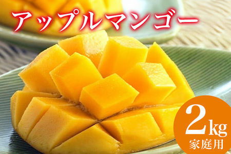 【 先行予約 2026年 発送 】 縁sファームの アップルマンゴー 家庭用 2kg 沖縄県産 マンゴー アーウィンマンゴー 2キロ 国産 完熟マンゴー 果物 南国 くだもの フルーツ 完熟 夏 旬 特産品 沖縄 お取り寄せ 産地直送 農家直送 甘い 濃厚 糸満市 43-5