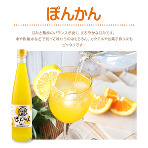 【3回定期便】オレンジ園の濃縮ジュース ぽんかん 500ml 3本 希釈用 【J00106】