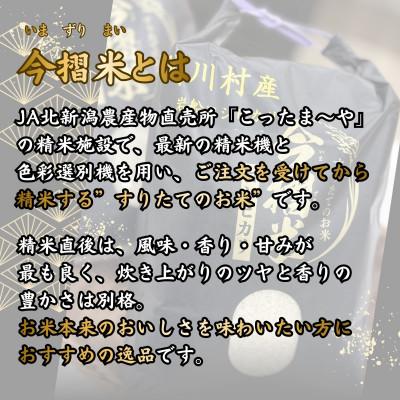 ふるさと納税 関川村 R7年産 関川村産 岩船コシヒカリ 今摺米 10kg(精米5kg×2袋)[JA北新潟] |  | 01