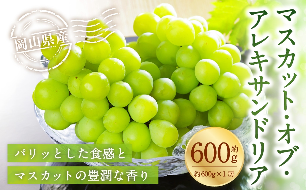 
                  岡山県産 マスカット･オブ･アレキサンドリア 約600g （ 600g×1房 ） ぶどう ブドウ 葡萄 くだもの 果物 果実 フルーツ 国産 マスカット 【 2026年8月下旬～9月下旬発送予定 】
                