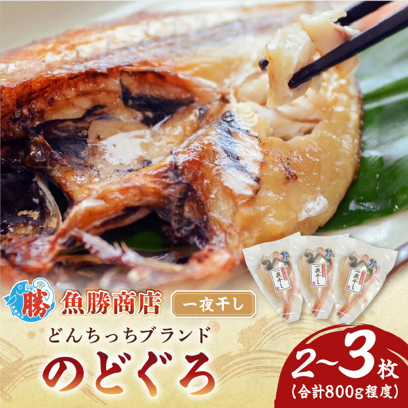 【ふるさと納税】大きな「のどぐろ一夜干し（2〜3枚）」 魚介類 魚貝類 魚 のどぐろ 干物 干もの 一夜干し のどぐろ一夜干し 【136_1995】
