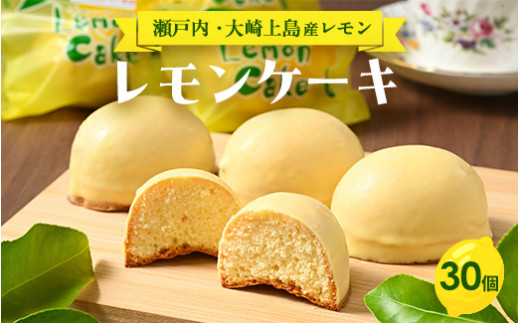 レモンケーキ　30個 ｜ 洋菓子 お菓子 菓子 レモン レモンケーキ スイーツ ギフト 贈答 いちかわ 竹原 瀬戸内 瀬戸内レモン