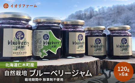 ブルーベリージャム 北海道産 ブルーベリージャム【120g×6本】