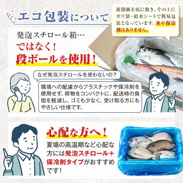 鮮魚ボックス 約1kg 鮮魚BOX ロコフィッシュ 下処理済 エコ包装【昌徳丸】P78001