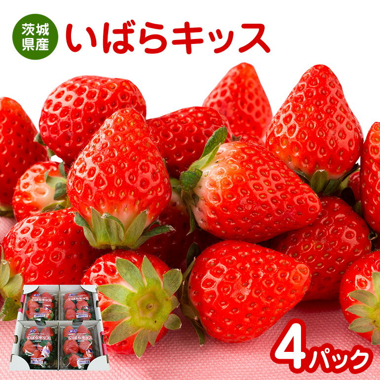 【ふるさと納税】【数量限定・期間限定】 いばらキッス 4パック 約1kg 茨城県限定品種 茨城県オリジナル品種 いちご イチゴ 苺 フルーツ 果物 くだもの 国産 茨城県産 高糖度 甘い 酸味 濃厚 ジューシー スイーツ作り ケーキ作り お菓子作り 17-P