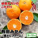 【ふるさと納税】 有田みかん 3kg 5kg 10kg 7000円 10000円 13000円 16000円 18000円 頑固オヤジのこだわりみかん ※11月中旬～1月上旬頃より順次発送予定 / 温州みかん みかん 訳あり わけあり 家庭用 柑橘 果物 果実 フルーツ 和歌山 紀州 有田 //mandarin