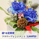 【ふるさと納税】 花 ギフト 誕生日 フラワー プレゼント フラワーアレンジメント 定期便 《3000円分》選べる定期便 アレンジ 贈り物 母の日 父の日 家族 敬老の日 送別 記念日 結婚祝い 新築祝い 生花 卒業 入学 男性 女性 お祝い お礼 百花 -MoKa- 岩手県 滝沢市 送料無料