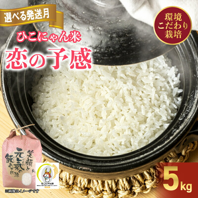 【ふるさと納税】 令和7年産 環境こだわり栽培 恋の予感 5kg 選べる 発送月 ひこにゃん米 精米 米 お米 こめ ご飯 ごはん 白米 おにぎり お弁当 家庭用 こいのよかん 1月 発送 2月 発送 3月 発送 鹿谷ファーム 滋賀 彦根