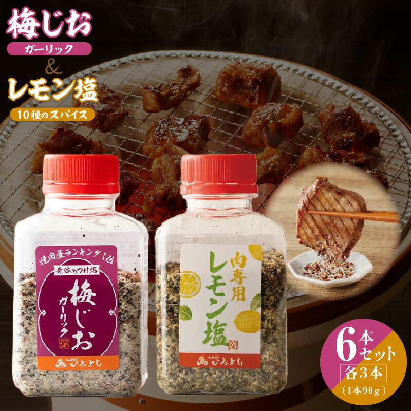 【ふるさと納税】 ＼最短7営業日以内発送／ 焼き肉専門店 梅じお レモン塩 90g × 各 3本 合計 6本 食べ比べ セット タン おにぎり パスタ 焼肉 BBQ アレンジ 爽やか パンチ すっきり つけ塩 調味料 いちよしエンタープライズ(株) お取り寄せ 泉佐野市 送料無料