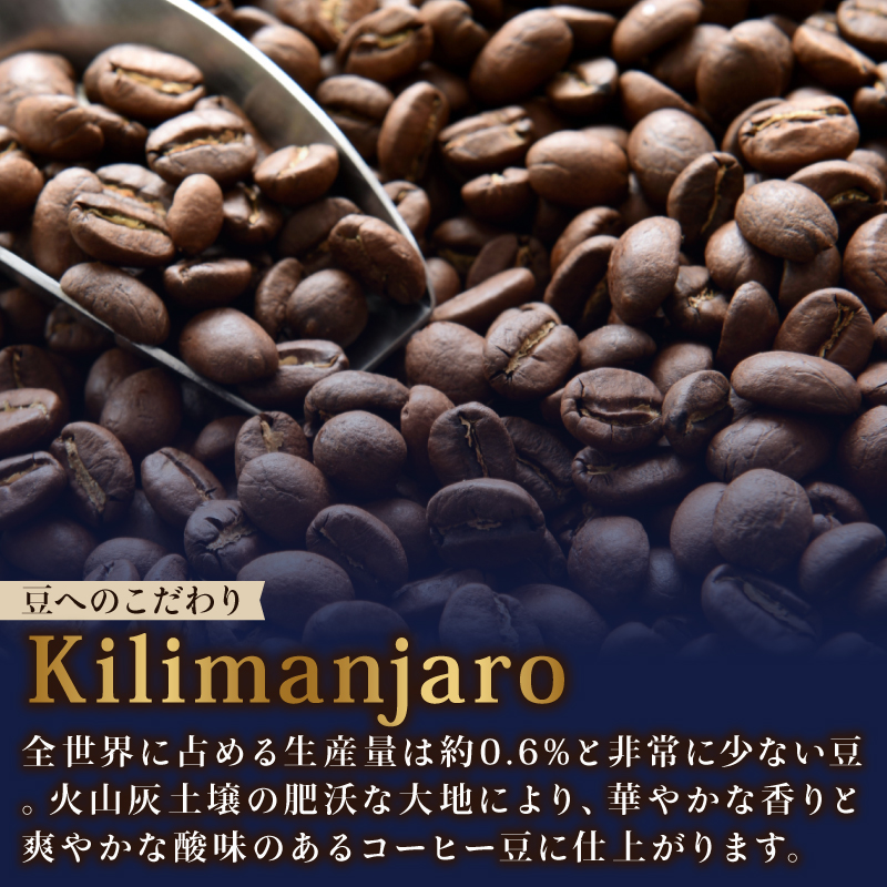 ＜選べる内容量＞ TULLY'S COFFEE（タリーズコーヒー） BARISTA'S BLACK キリマンジャロ 285ml ×24本　缶コーヒー ブラックコーヒー ブラック コーヒー こーひー 珈