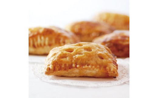 YOCICOTANのアップルパイ 6個アソート＋焼き菓子 3個セット【アップルパイ りんご リンゴ 林檎 パイ 焼き菓子 セット デザート オーガニック シナモン 糖質オフ カロリーオフ】（AH-4）