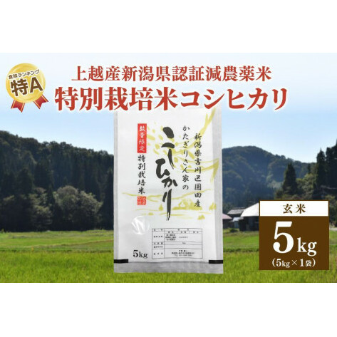 米 お米 数量限定 令和5年産 新潟県上越市吉川区国田産 新潟県認証米/特別栽培米コシヒカリ玄米5kg