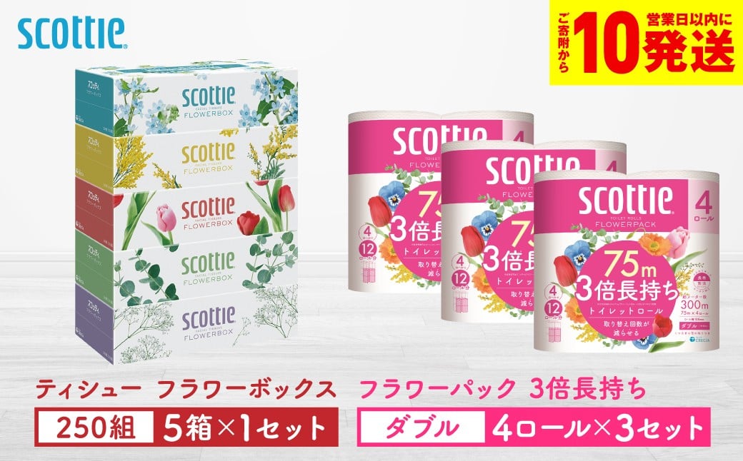 「長持ち」＆「コンパクト」になったスコッティ製品をセットにしてお届け！