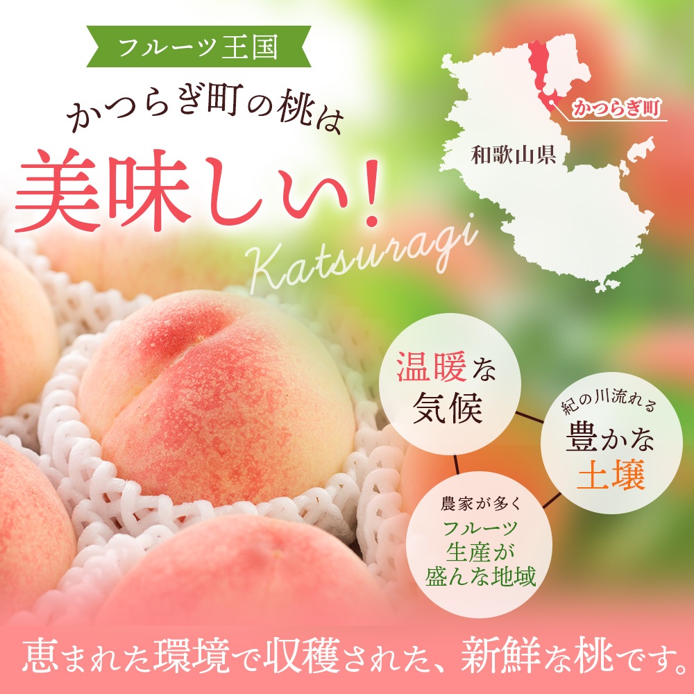 【予約受付】こだわり農家厳選 川中島白桃 和歌山産の桃 <大玉特秀品> 約2kg（6個~9個） 【2026年7月末頃～2026年8月末頃に順次発送予定】（お届け日指定不可）/ 桃 もも 川中島 白桃 
