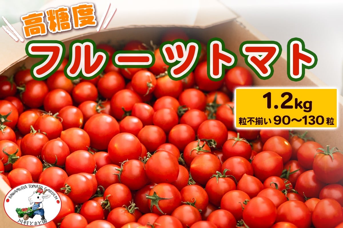 
            高糖度《フルーツトマト》1.2kg (粒不揃い90粒から130粒) トマト好きさんも唸る美味しさ！｜甘い ミニトマト プチトマト 野菜 サラダ 産地直送 房総 千葉 袖ケ浦 [0650]
          